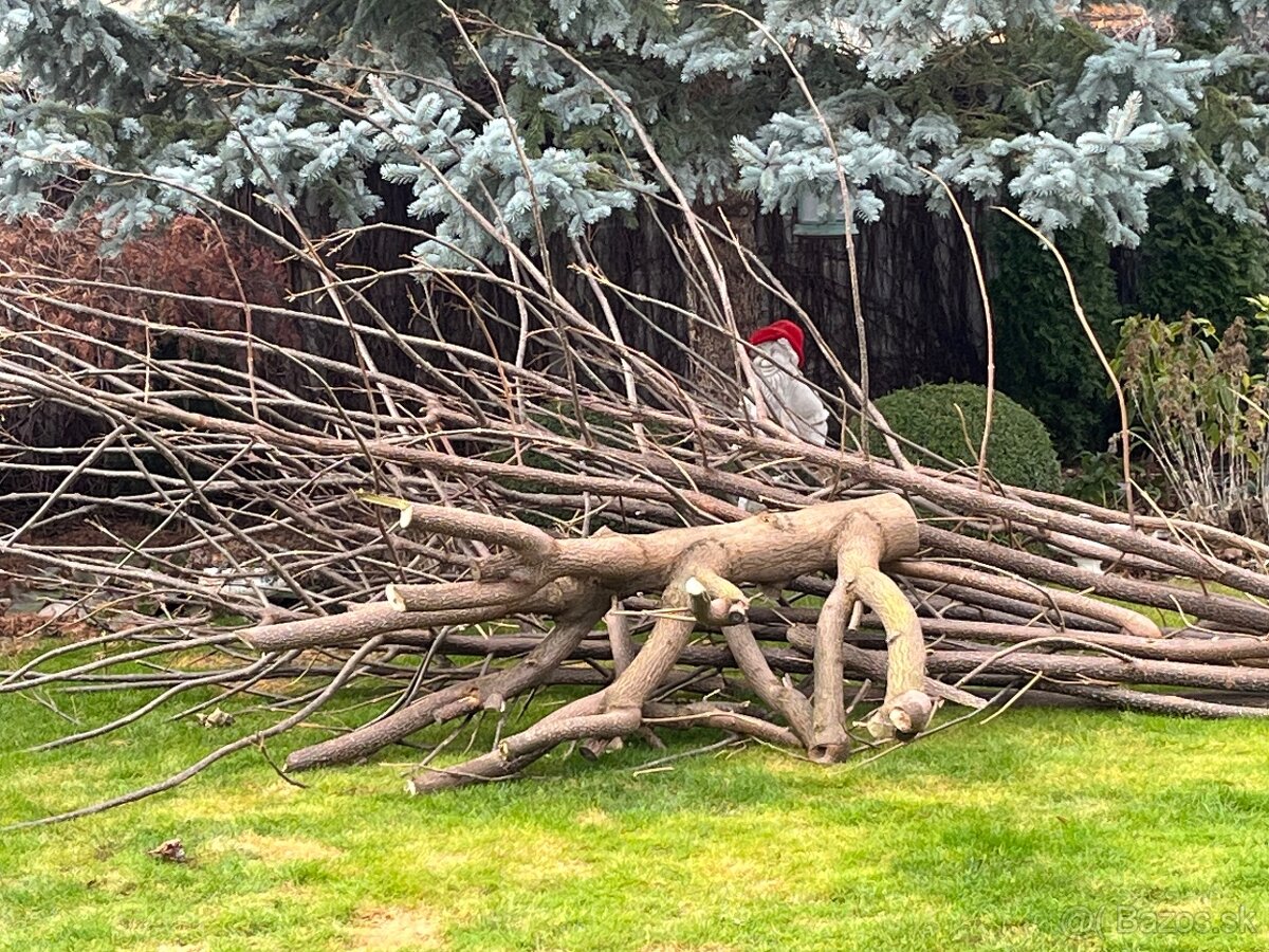 Darujem za odvoz - 2