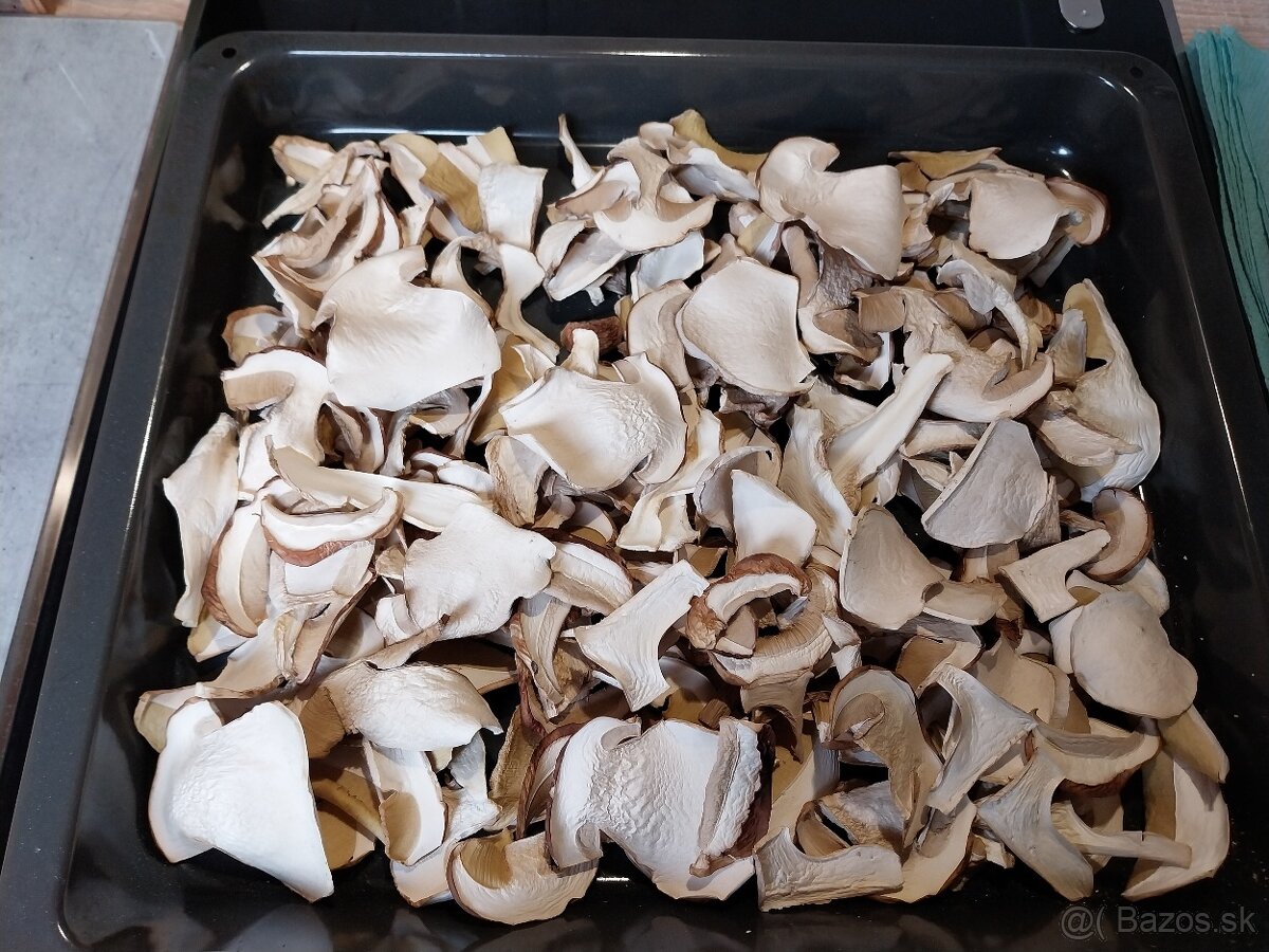 Sušené hríby smrekové, dubáky - 2