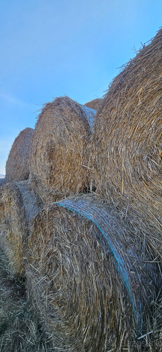 Slama okrúhle baliky - 2