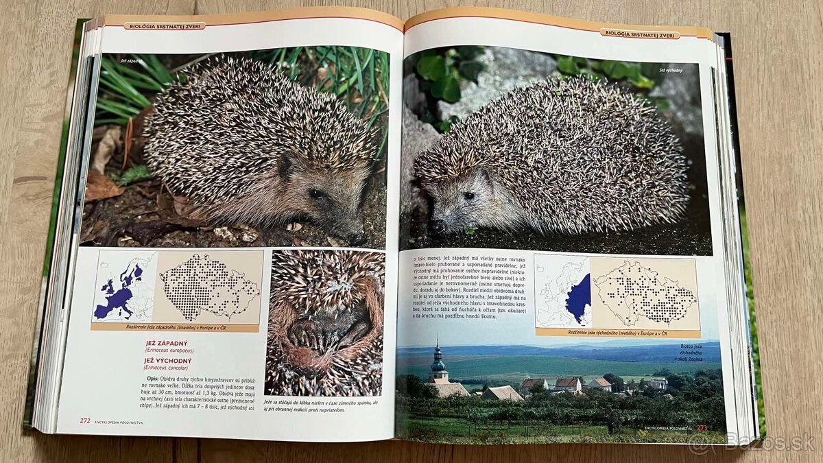 Kniha Encyklopedia Polovnictva - 2
