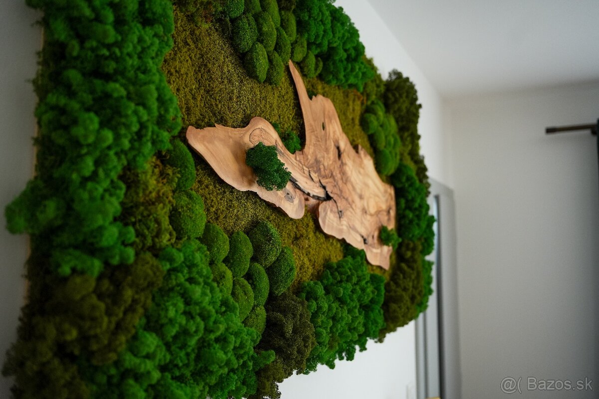 Machovy obraz s olivovym drevom - 2