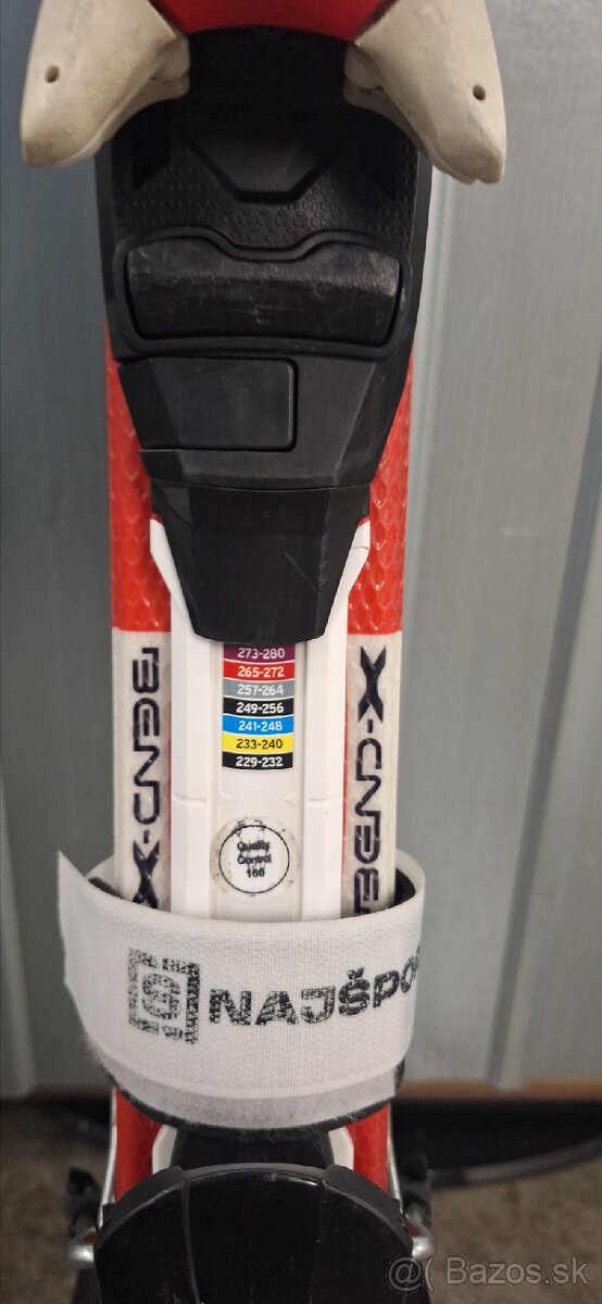 Lyže, lyžiarky a palice - 2