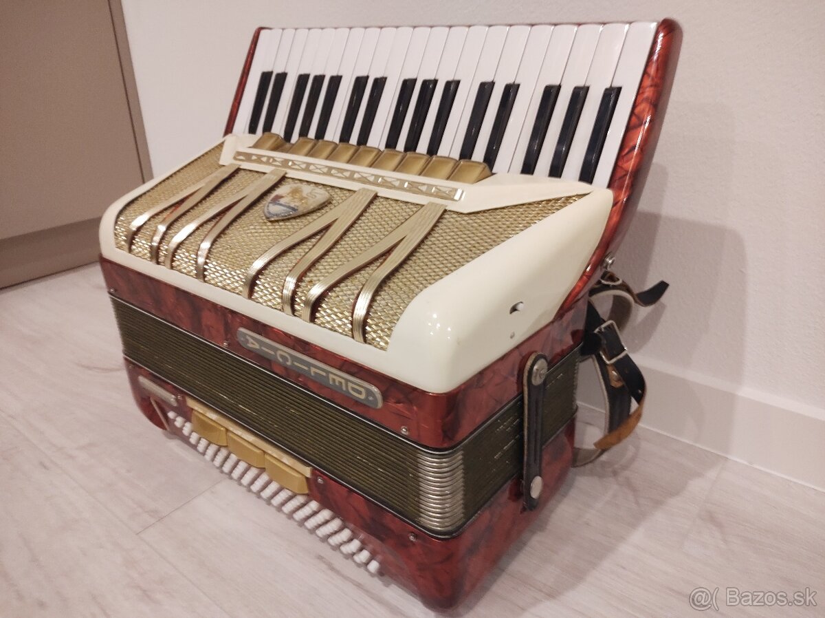 Akordeón Harmonika Delicia melodia VI 96bas - 2