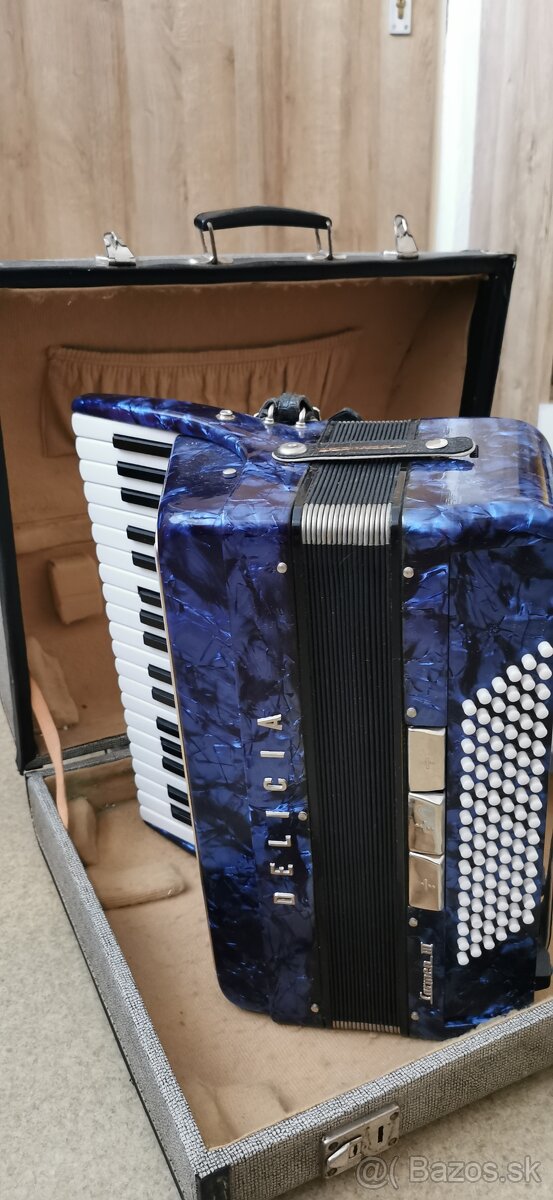Akordeón Delicia - 2