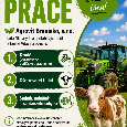 Dojič, Krmič, Stajník - 2