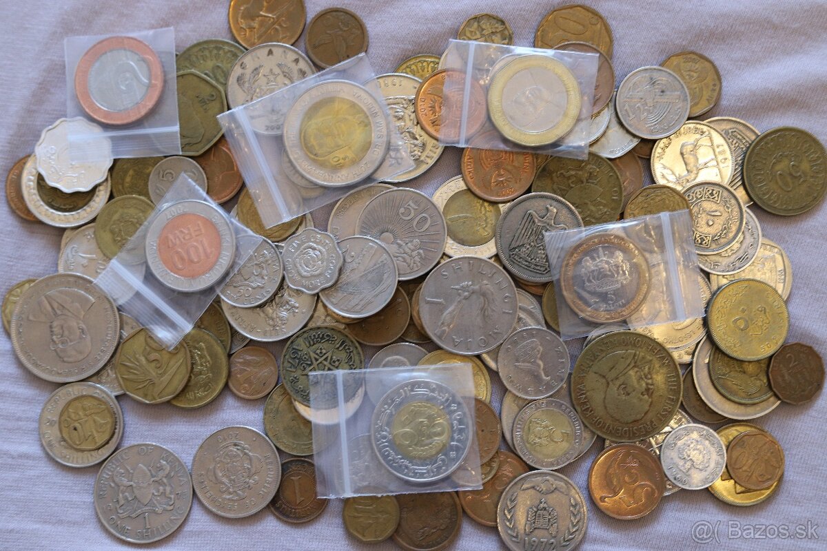 Mince mix Afrika - 2