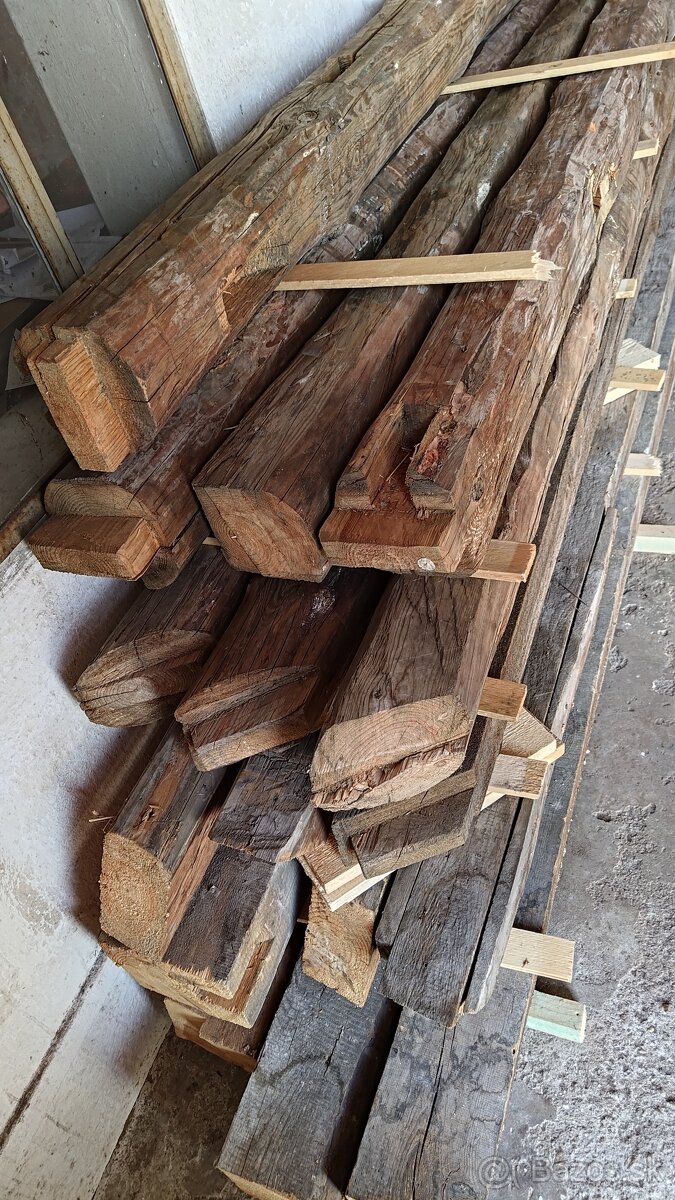 State drevo borovica - 2