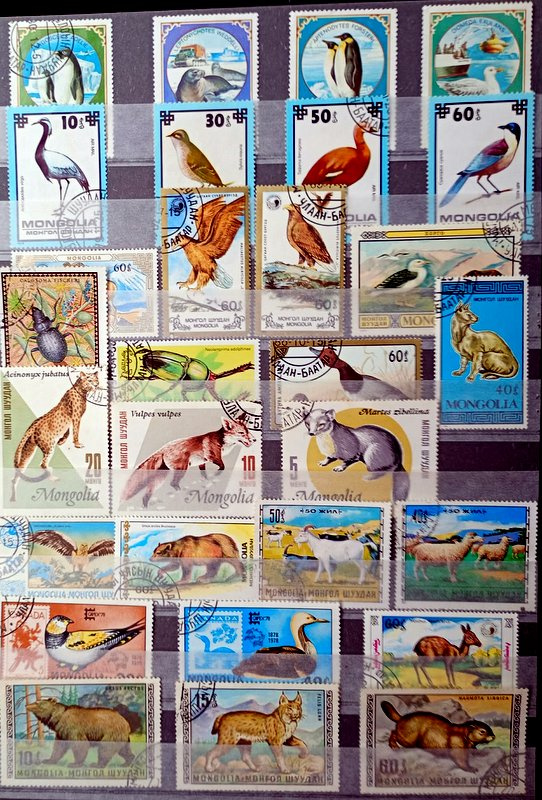 Predám poštové známky Mongolska - 2
