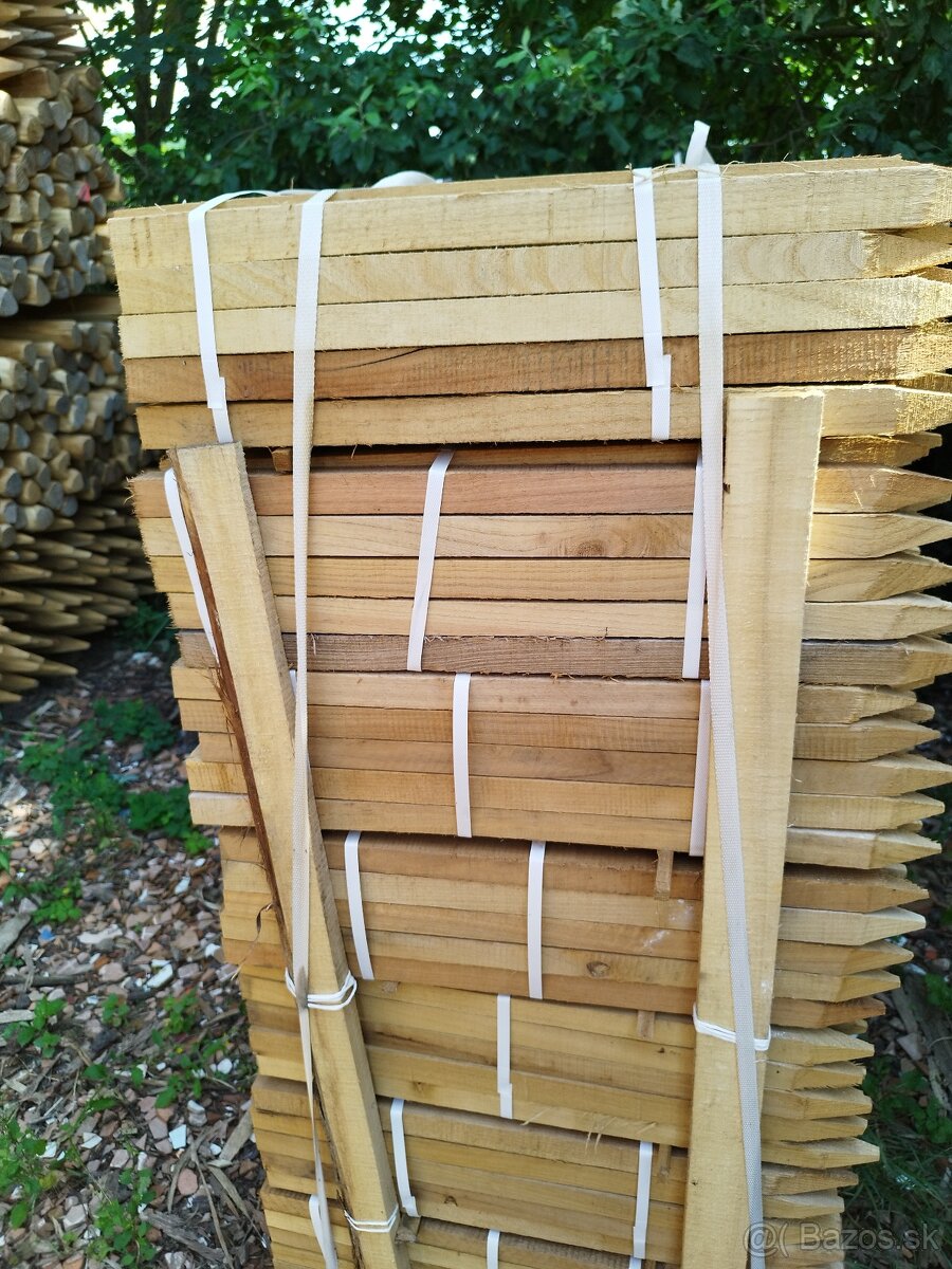 Agátove koly pílene - 2