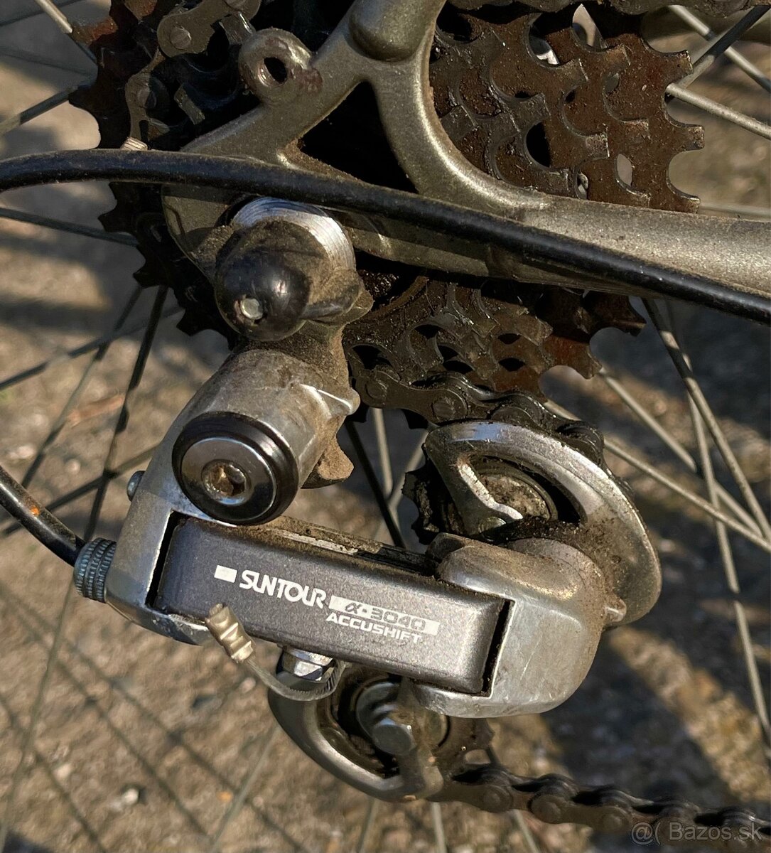 Holandský bicykel RIH - 2