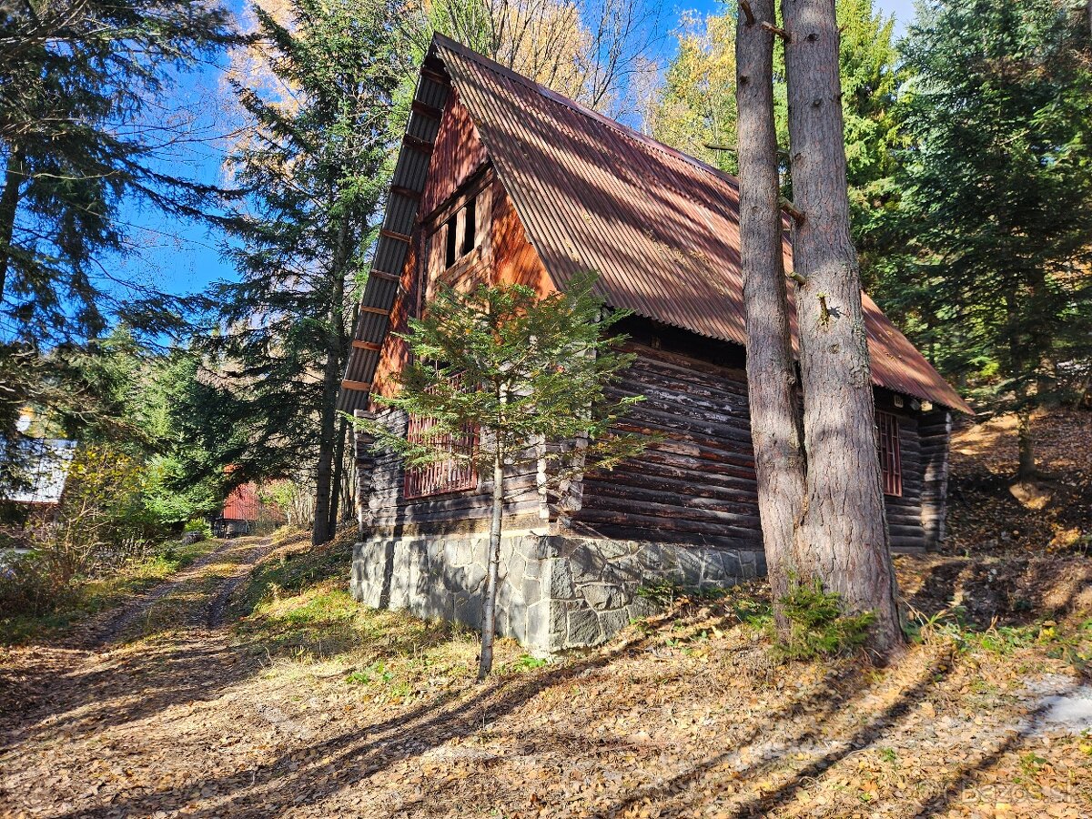 Predam chatu s pozemkom 1978m2 Drienica - 2
