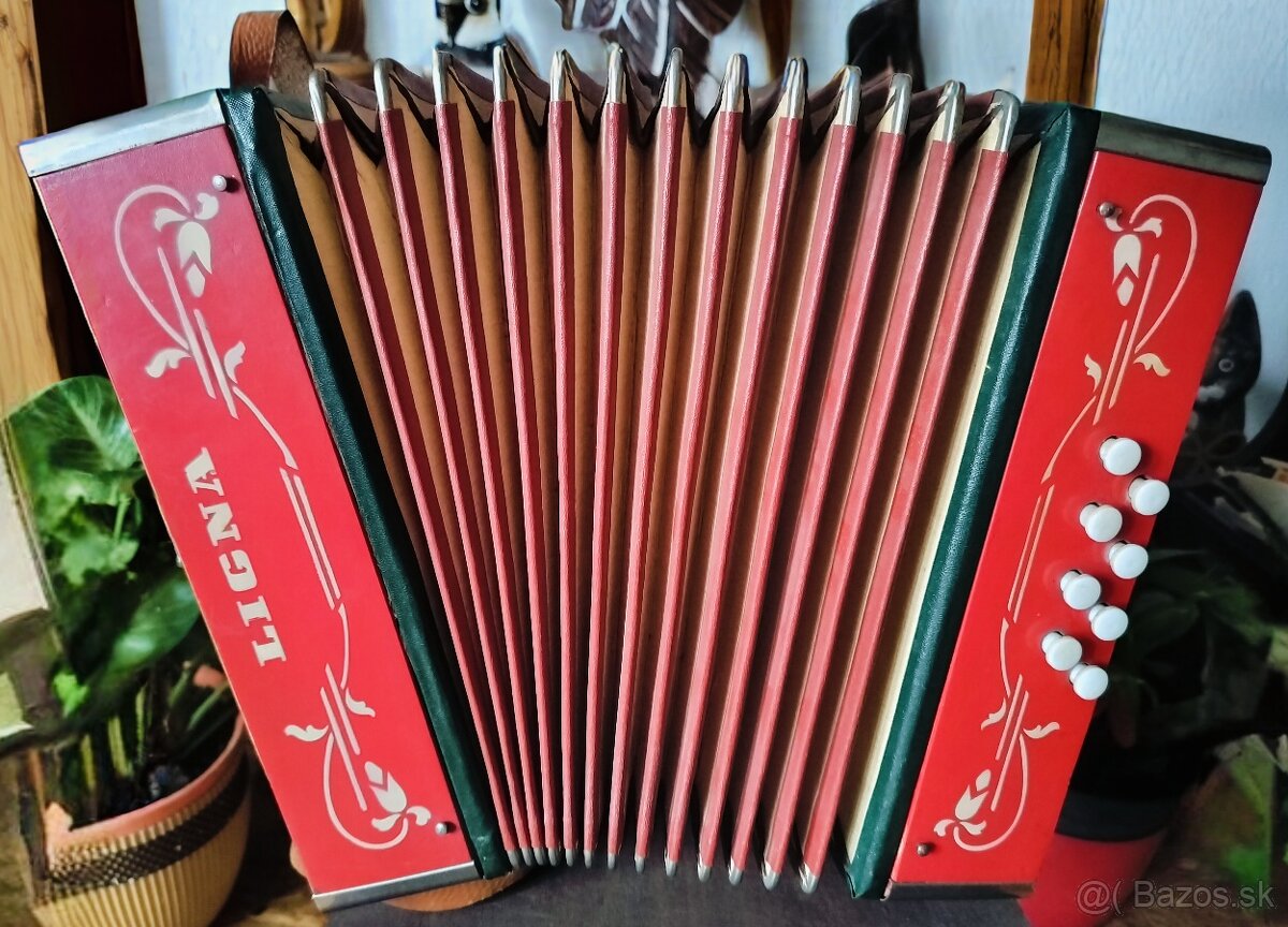 Heligonka LIGNA CF - 2