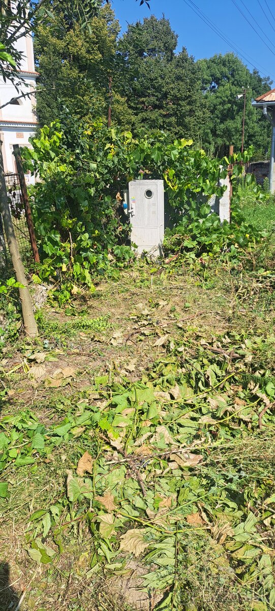 Predám pozemok v Zalabe,okres Levice. - 2