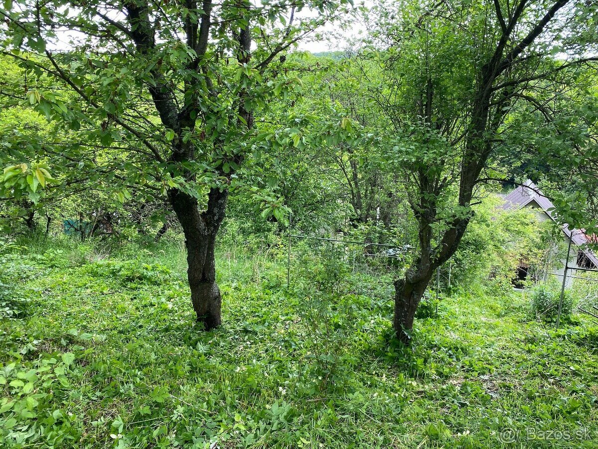 Záhrada 383 m2 s chatou 2izb Košice – Zdoba - 2