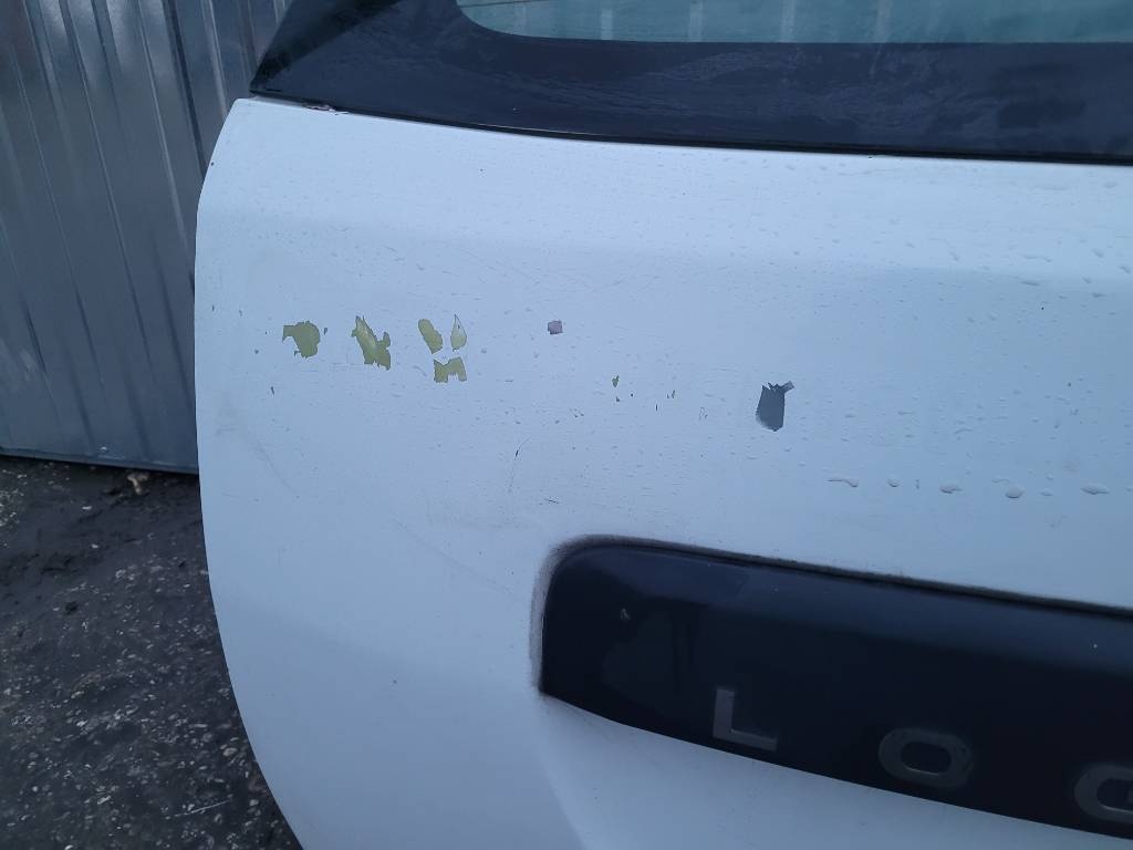 DACIA LOGAN MCV PIATE DVERE - 2