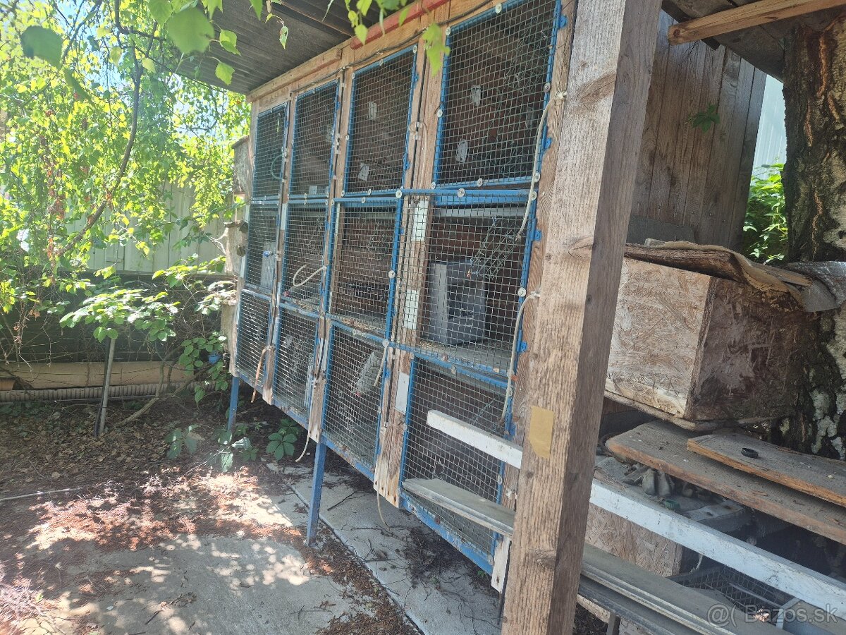 Zajacnik - 2