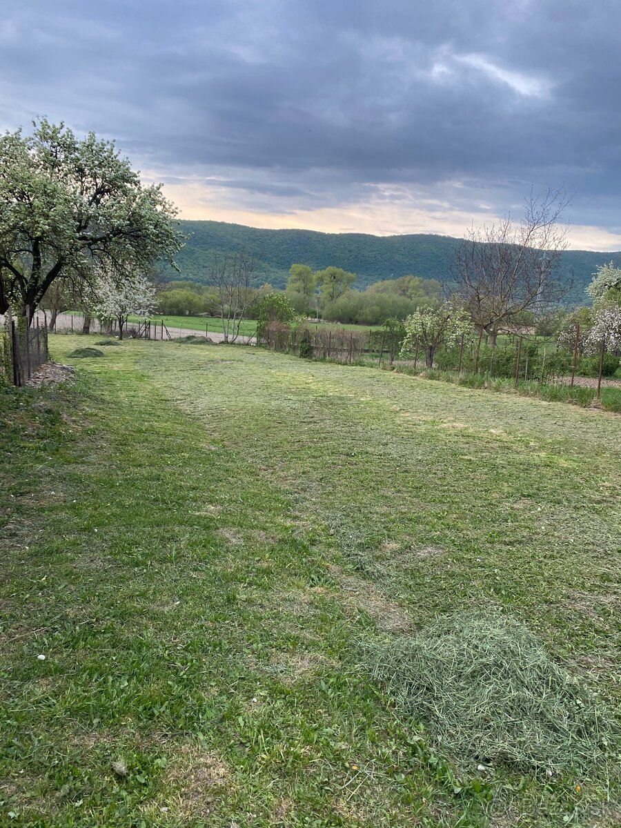 Záhrada / pozemok - 2