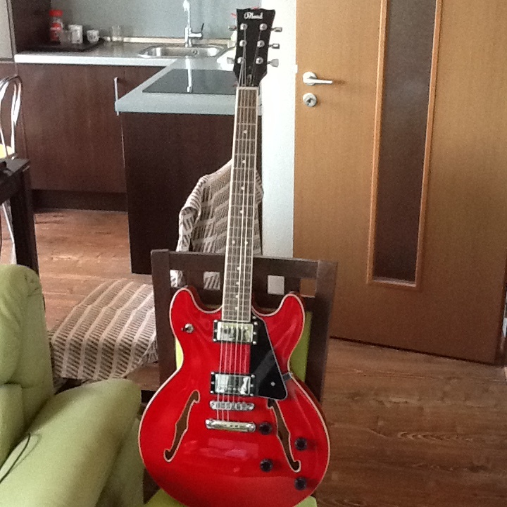 Pololubova gitara - 2