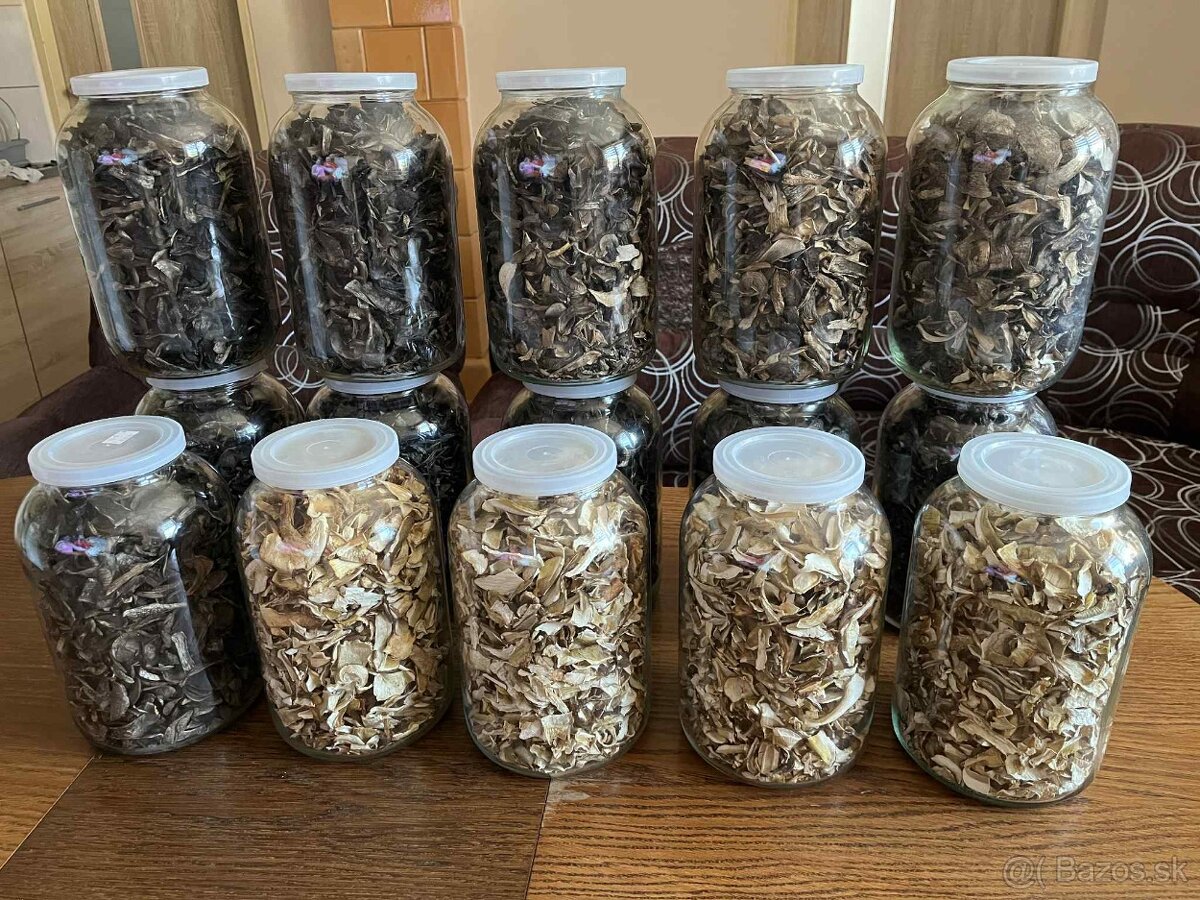 Sušené hríby - 2