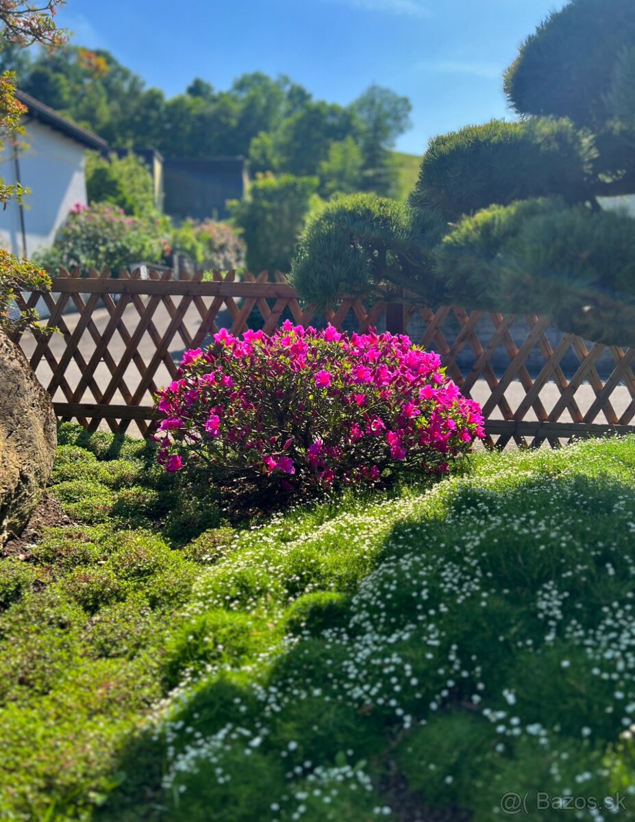 Záhrady v Japonskom štýle - 2