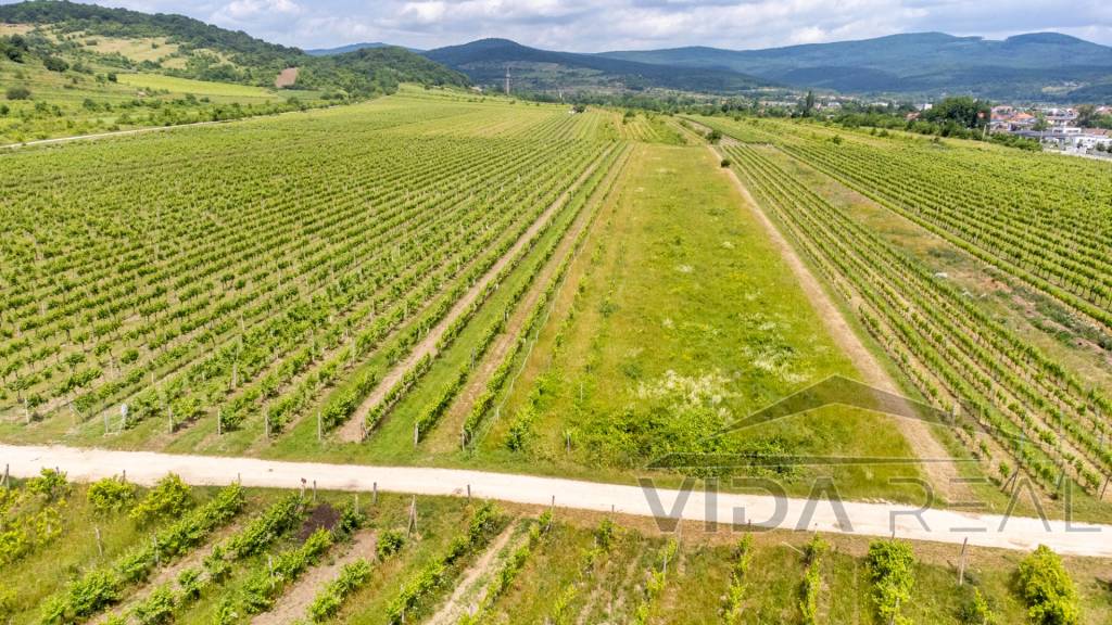 Pozemok v Pezinku s výmerou až 5190 m2 - 2