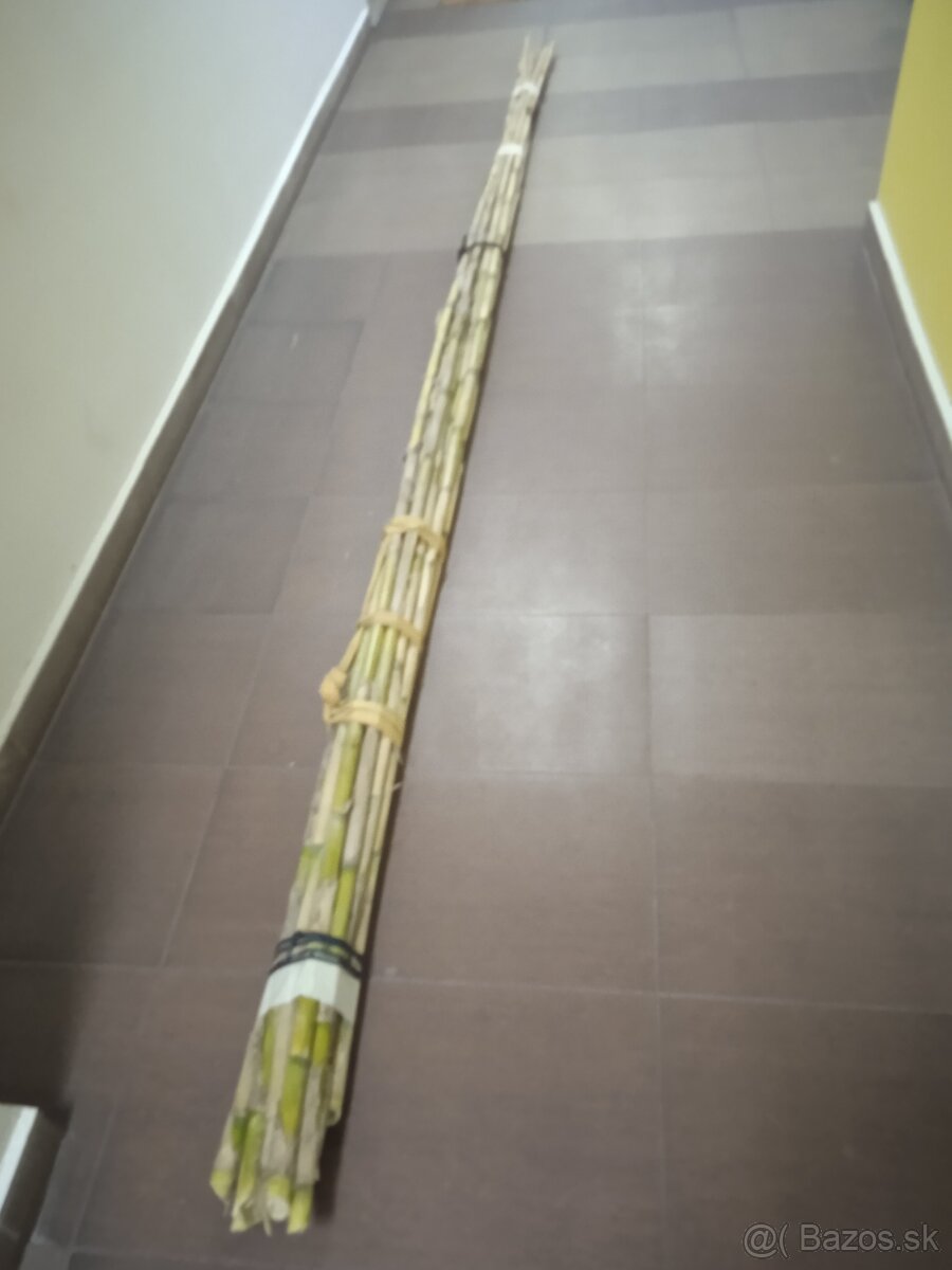 Bambusové tyče - 2