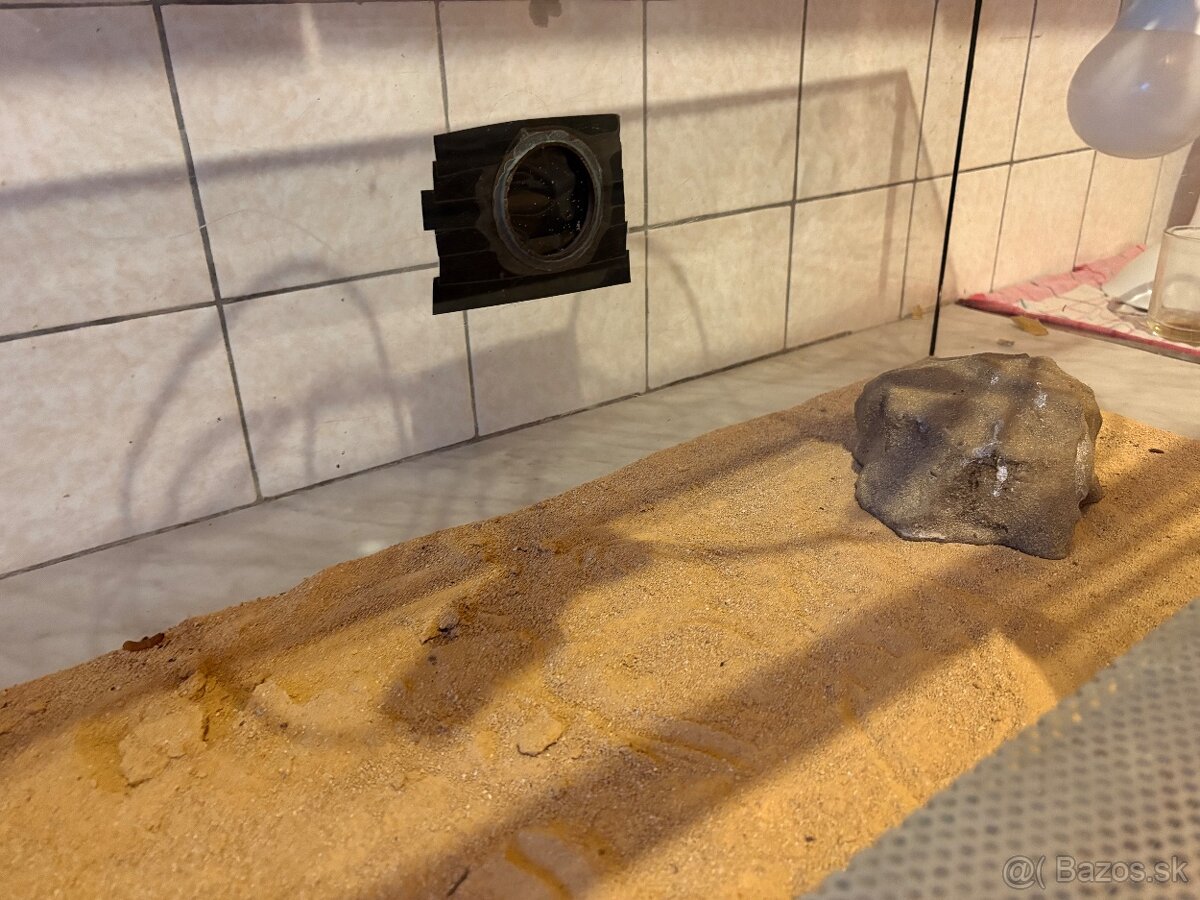 Akvárium s príslušenstvom - 2