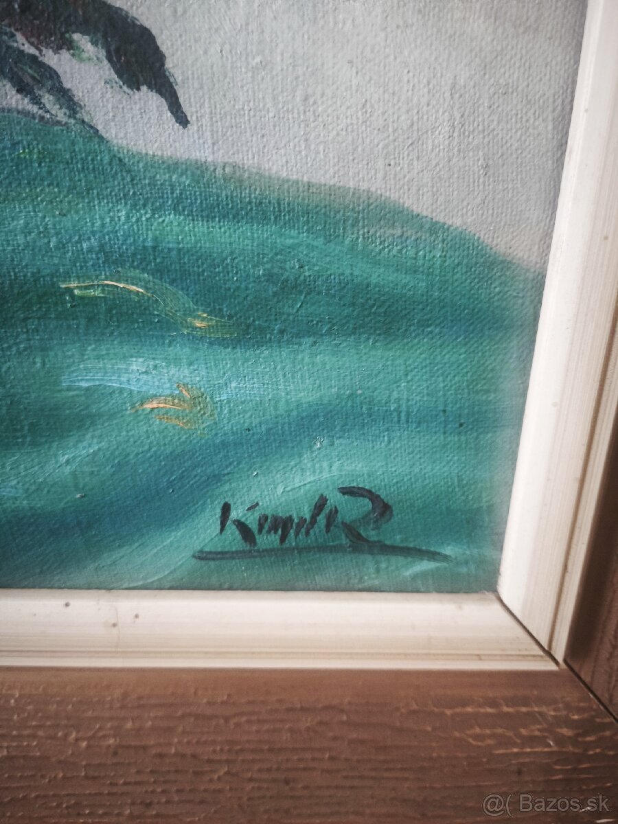 Plátnovy obraz maky - 2