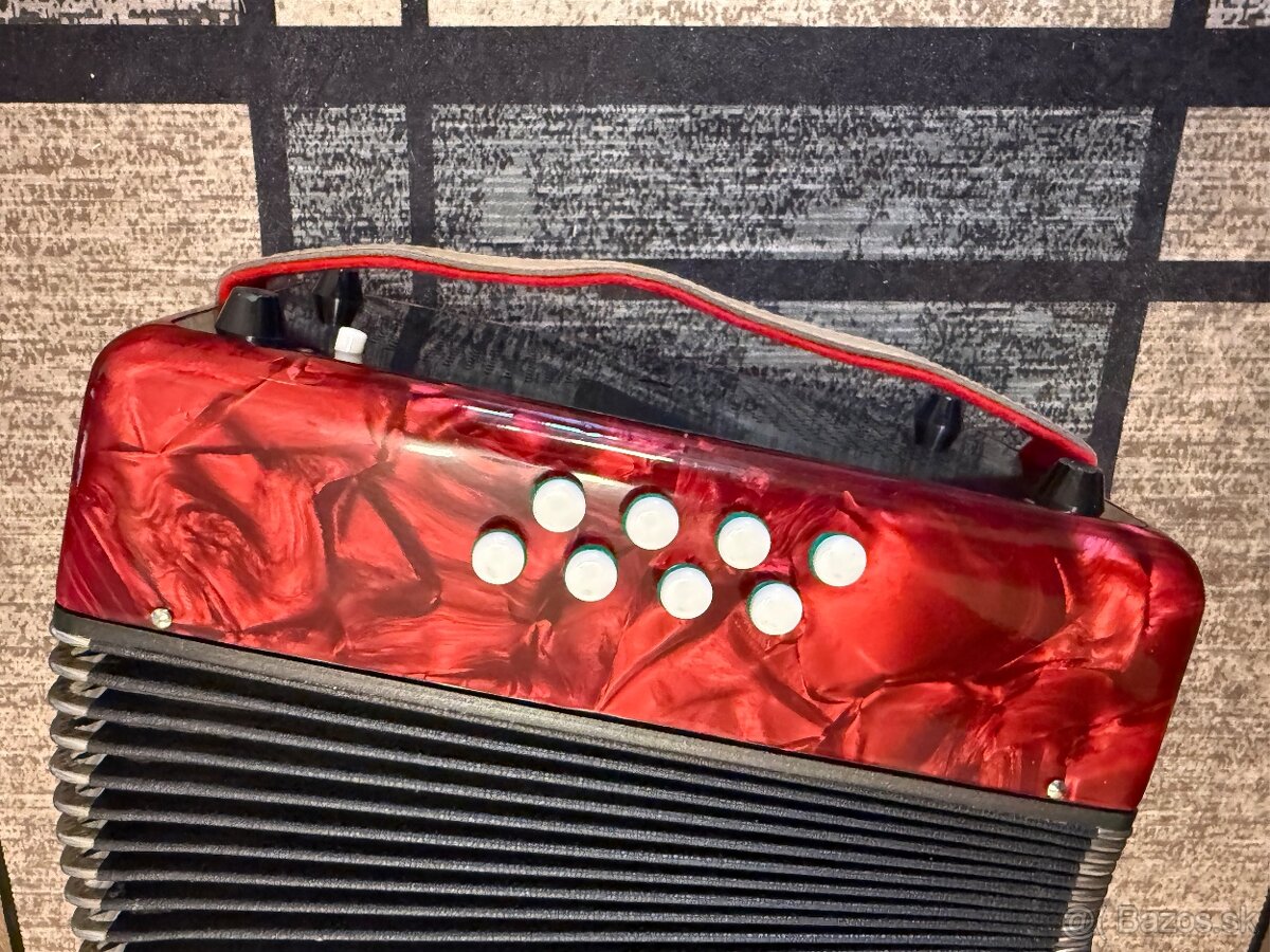 Hohnica Delicia popular Heligonka - 2