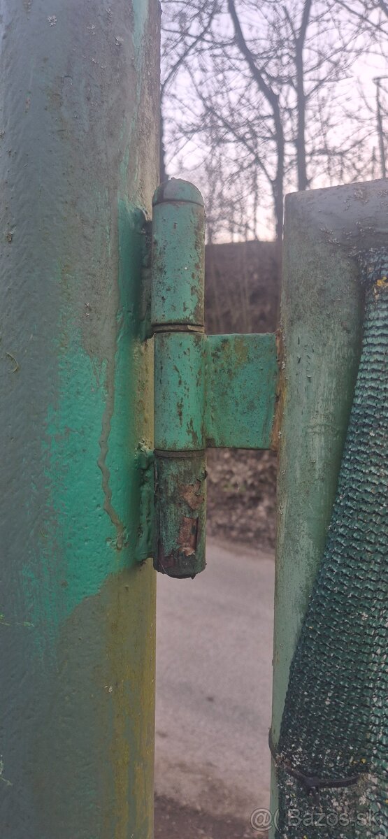 Brana kovova +branicka - 2