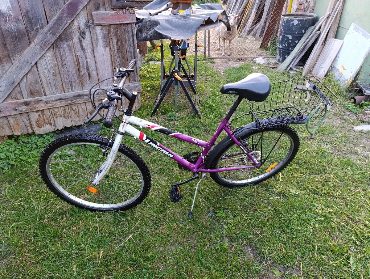 Dámsky Horský Bicykel - 2