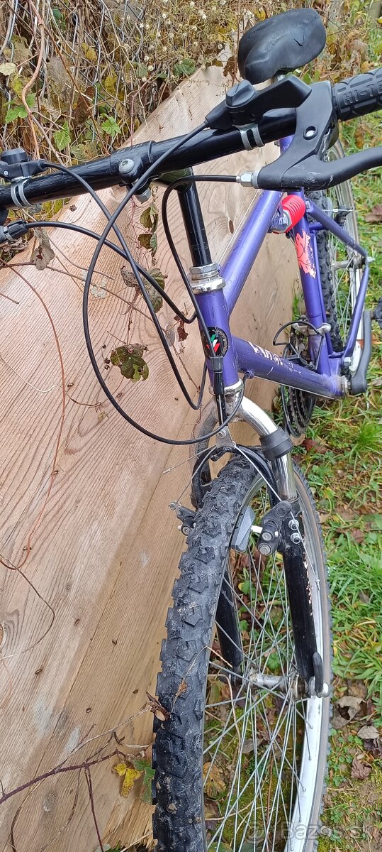 Starsi bicykel CANGURO - 2