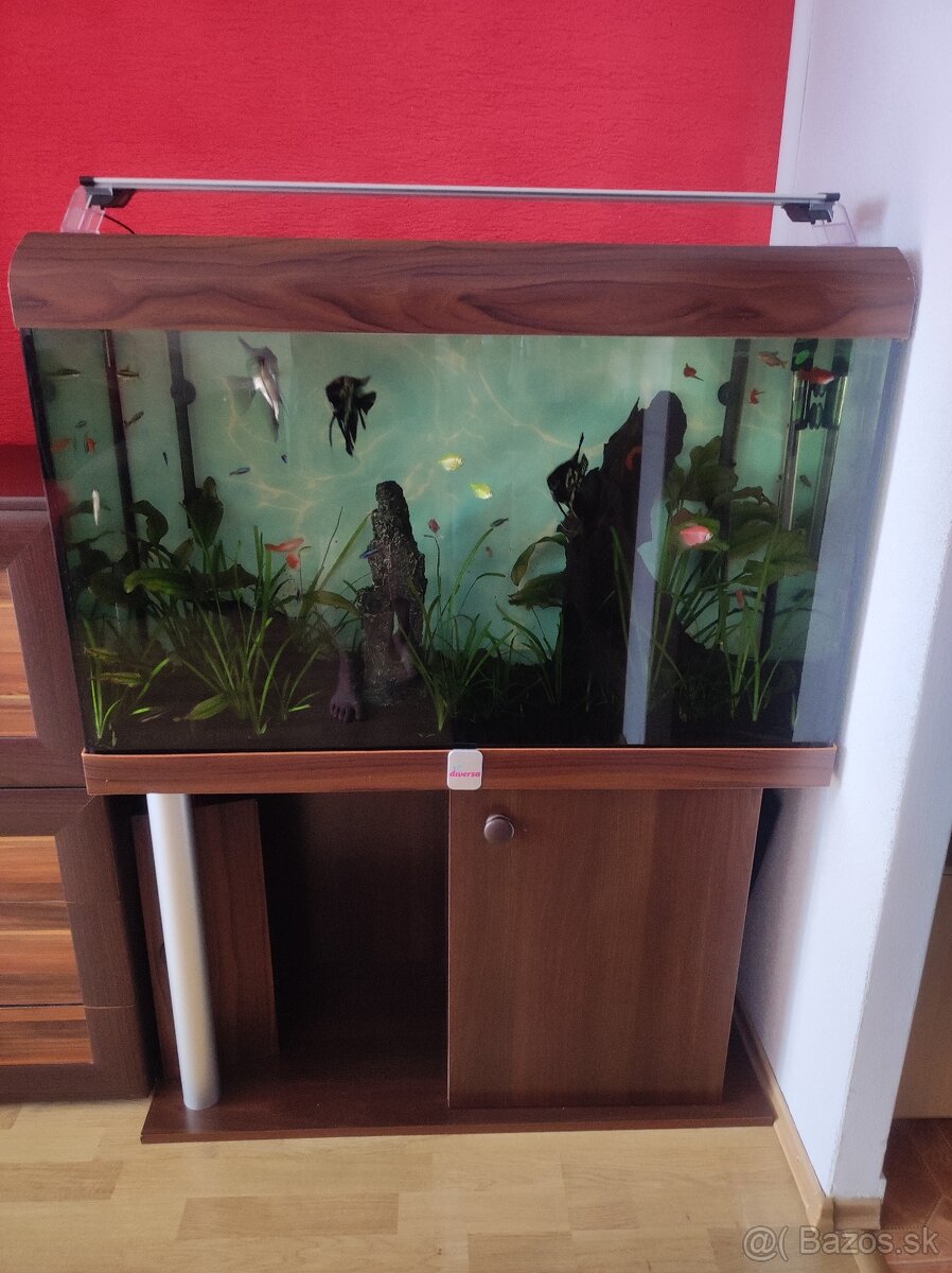 Predám akvárium - 2