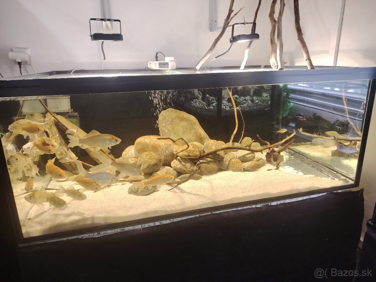 Predám akvárium - 2