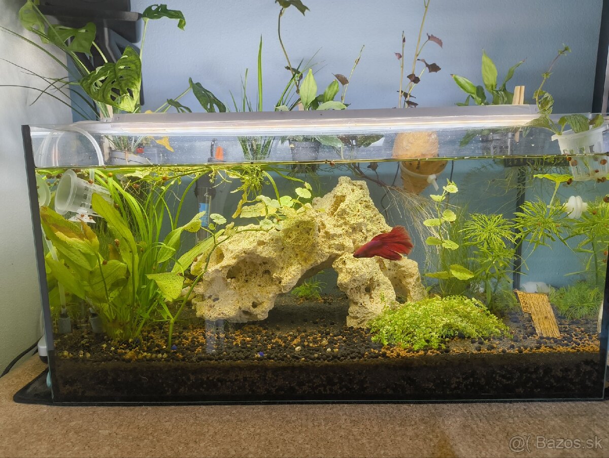 54l akvarium komplet - 2