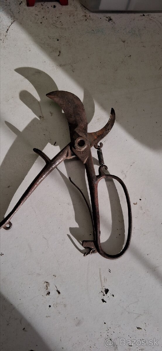 Starožitné noznice - 2