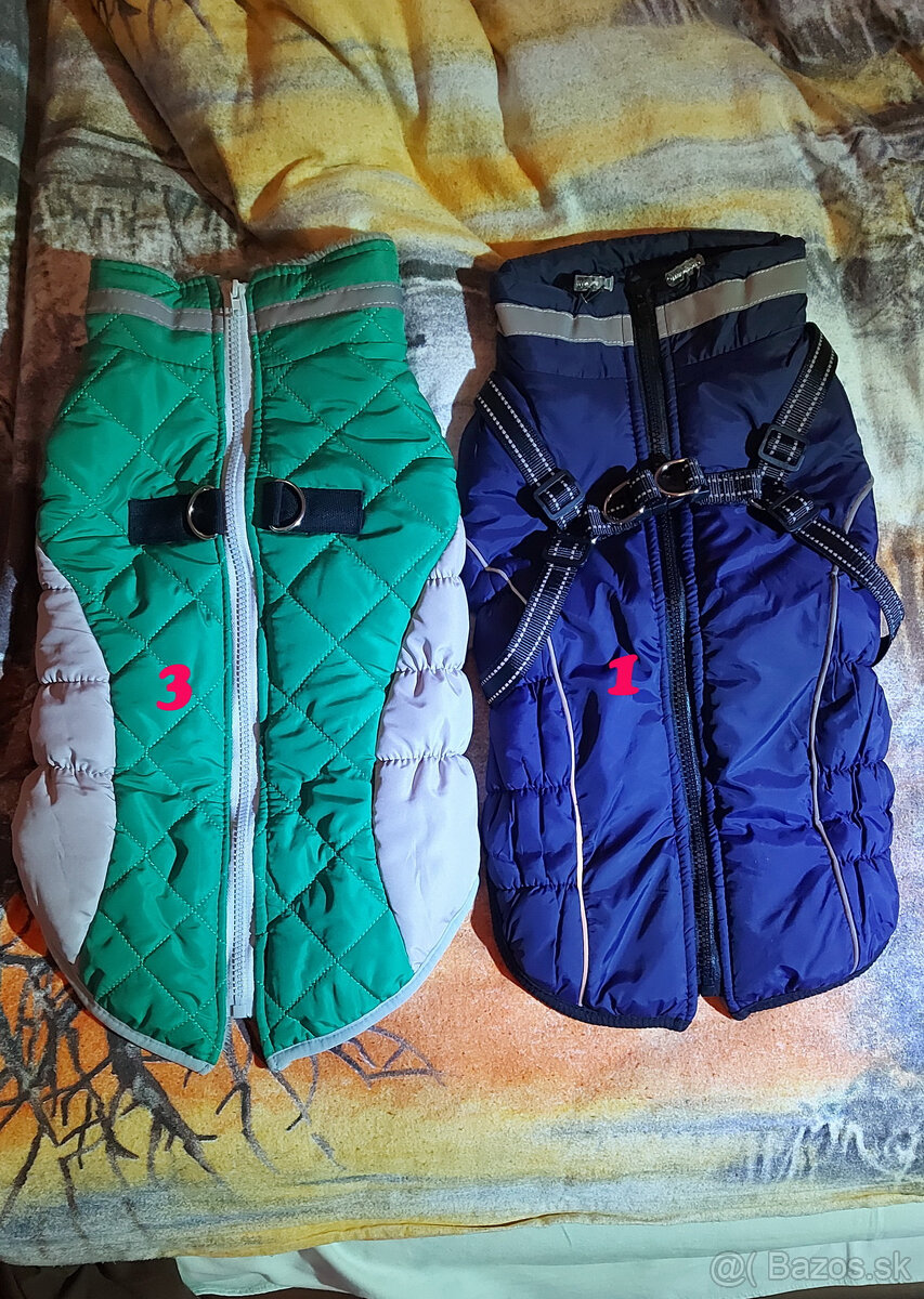 Oblečenie pre havkáčov na zimu - 2