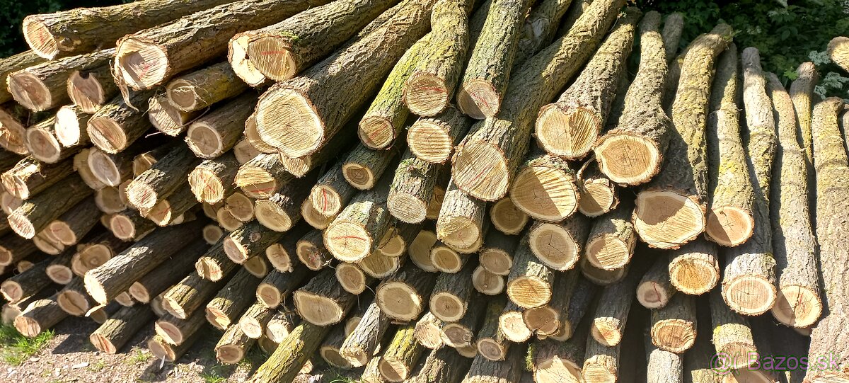 Predam agatove stlpy koly - 2