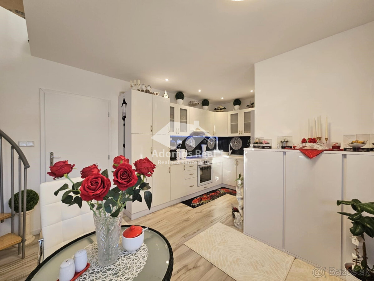 DREVODOM S POZEMKOM - ŤAHANOVCE - 2