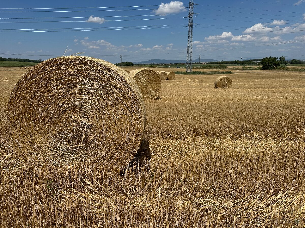 Balíky slamy - 2