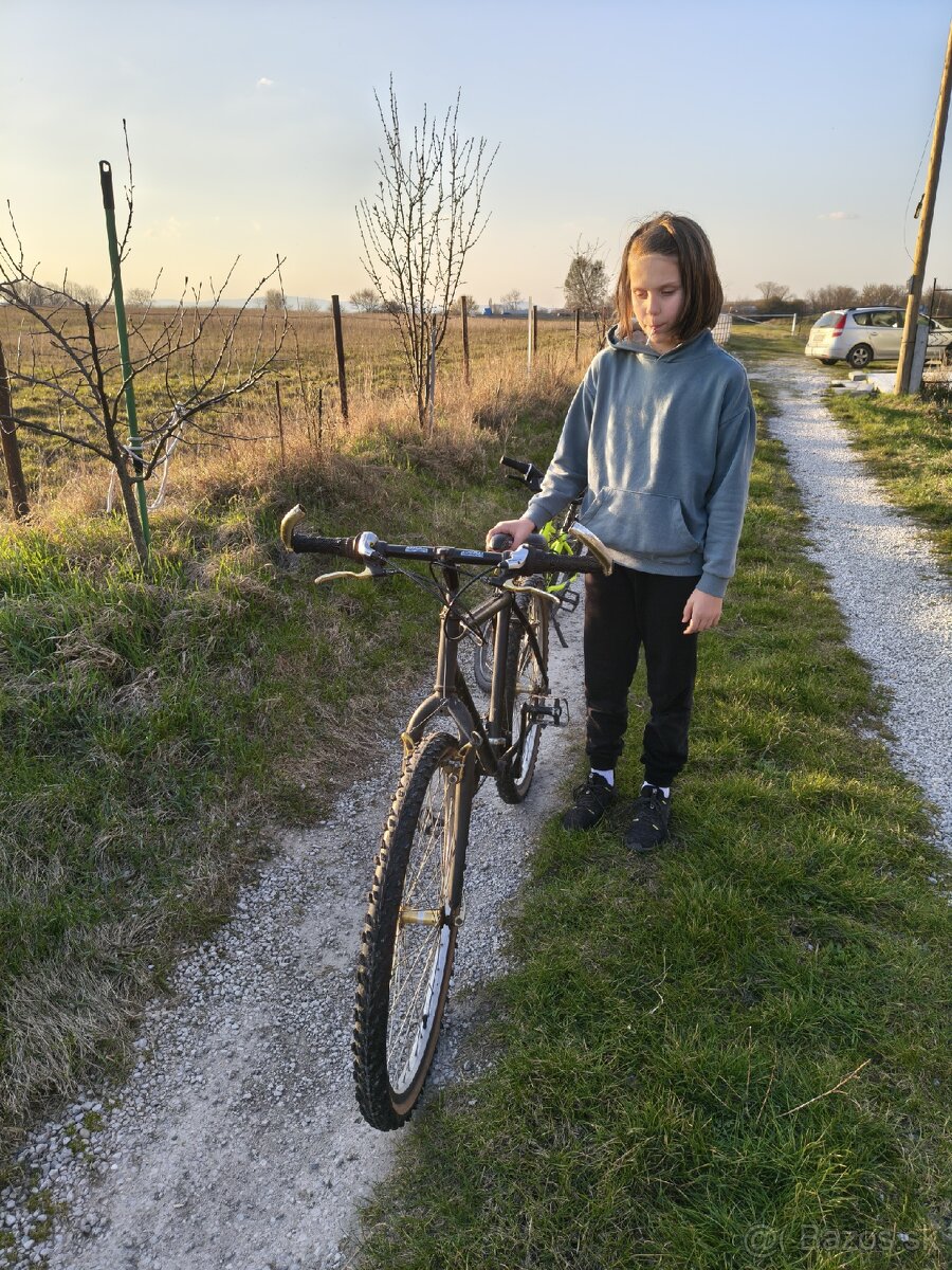 Predam horsky bicykel - 2