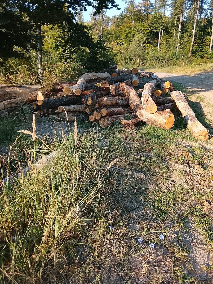 Preprava palivového dreva - 2