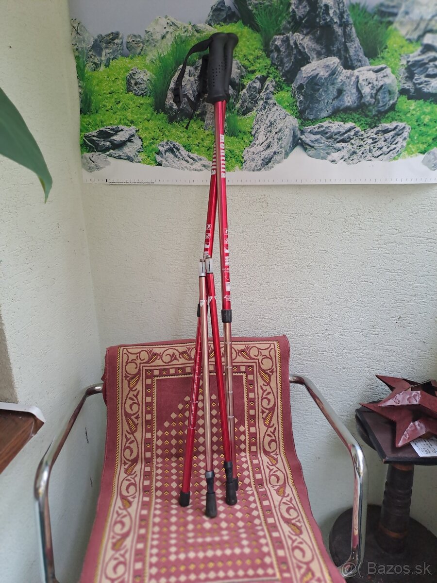 Palice na chodzu - 2