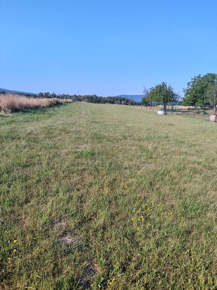 Pozemok v obci Koš. - 2
