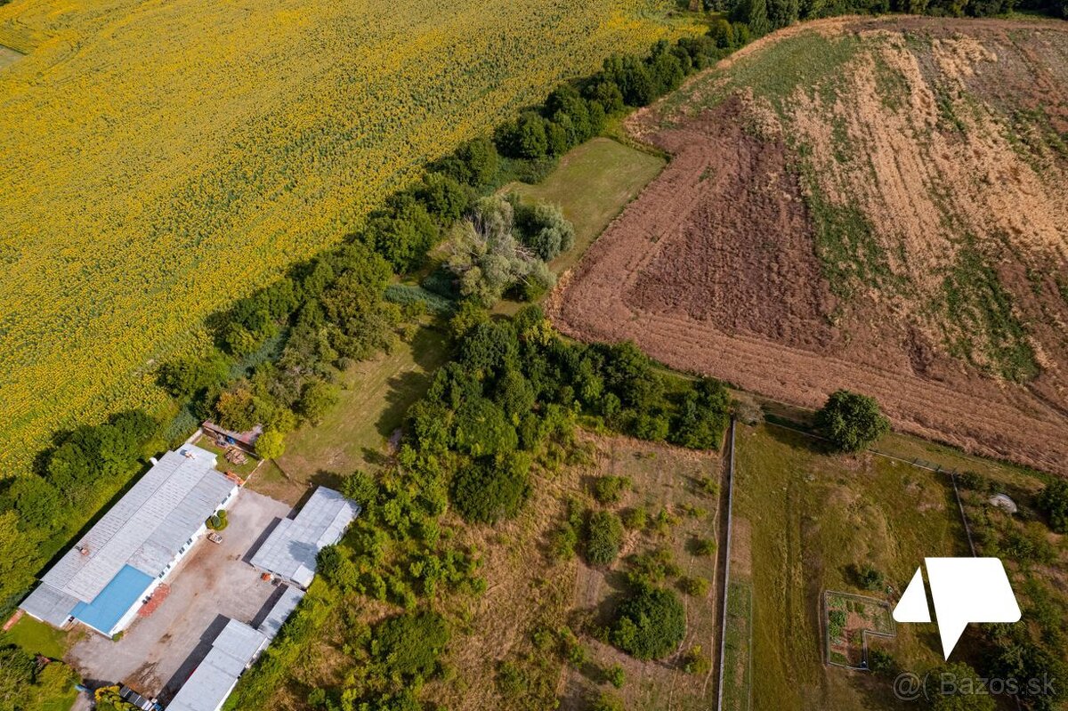 Predaj - polyfunkčný objekt - Zlaté Moravce - Prílepy - 2