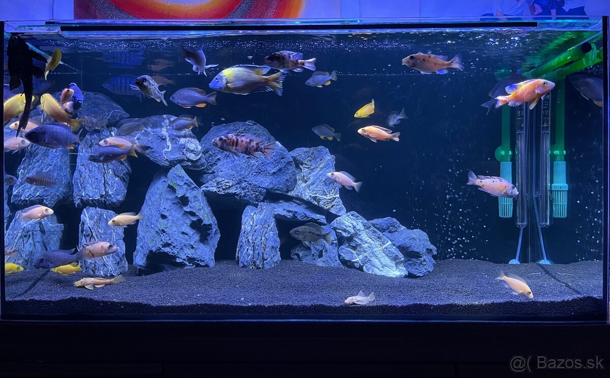 200 L Akvarium s príslušenstvom - 2