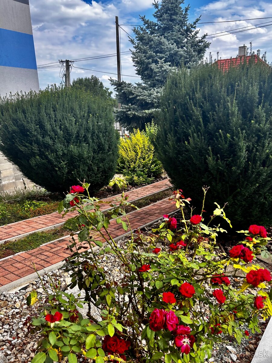 Prenájom viacerých jednotiek v Čakajovciach - 2