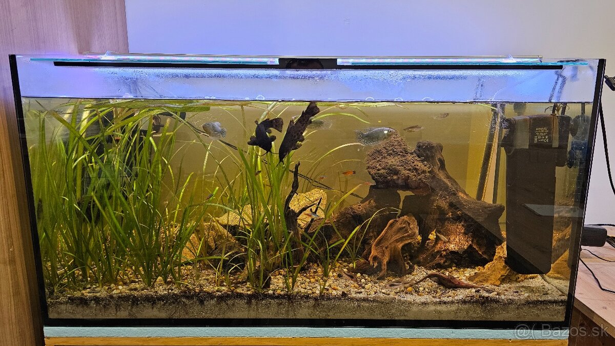 Akvárium 250L - 2