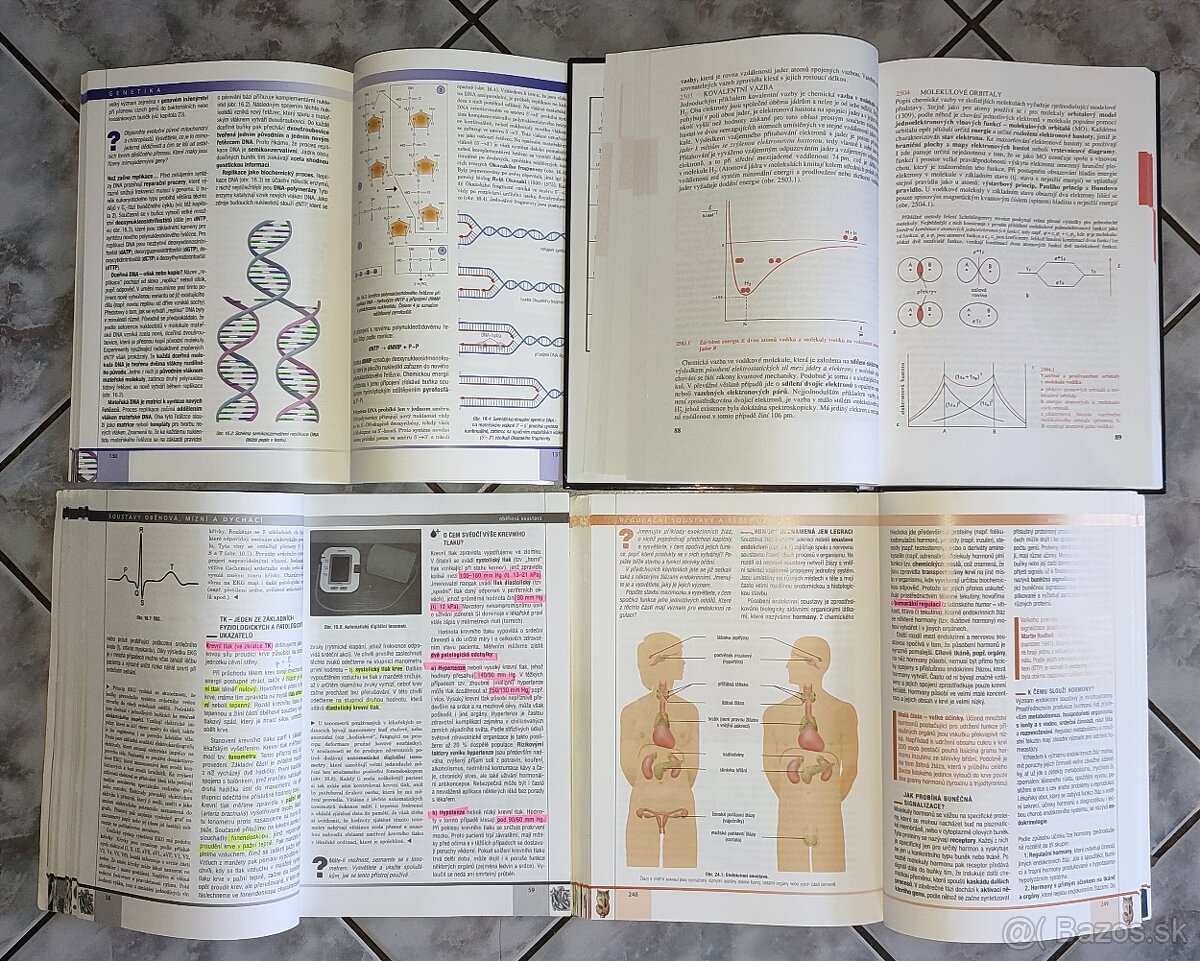 Prijímačky na LF do Čiech - 2
