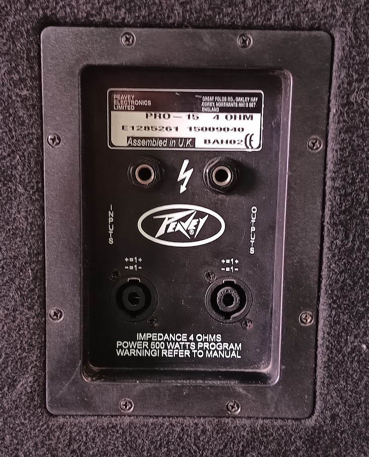 Peavey PRO15 - 2